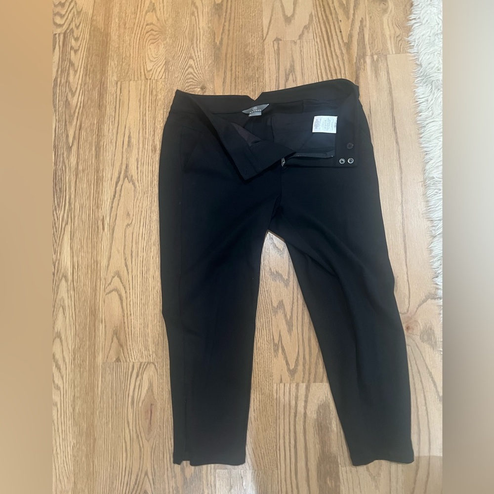 Aether women’s Capitol Pants size L.
